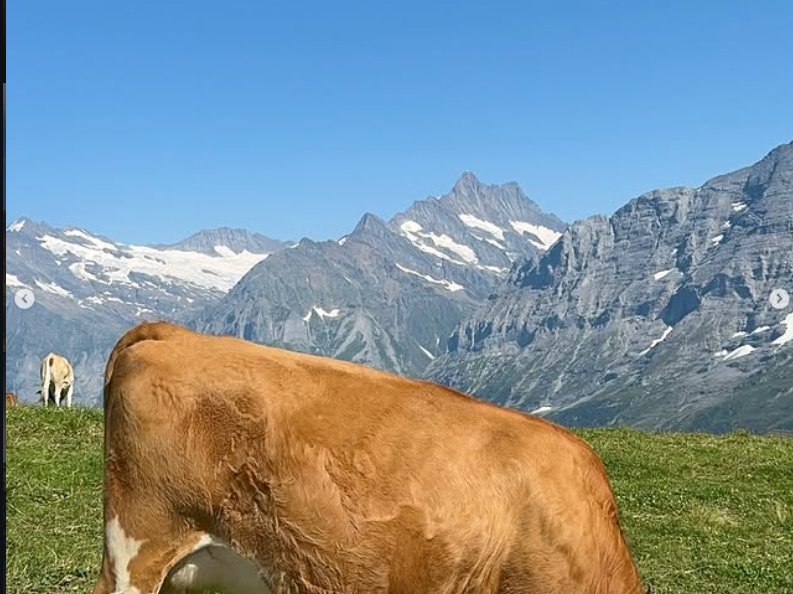 Destino de viagem nos Alpes